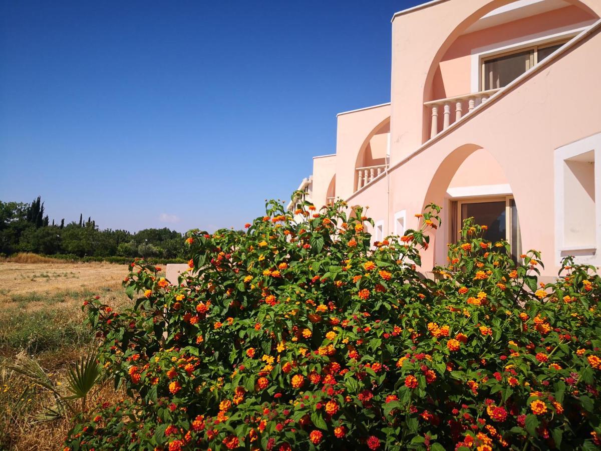 Seashell Apartments Paphos Esterno foto